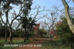 Canelands  Hazlemere Farm Kranz Road gardens (4)