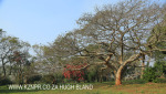 Canelands  Hazlemere Farm Kranz Road gardens)