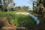 Canelands  Hazlemere Farm Kranz Road old swimming pool (1)