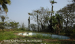 Canelands  Hazlemere Farm Kranz Road old swimming pool (2)