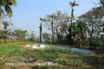 Canelands  Hazlemere Farm Kranz Road old swimming pool (3)