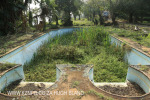 Canelands  Hazlemere Farm Kranz Road old swimming pool (4)