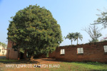 Canelands  Hazlemere Farm Kranz Road outbuildings (10)