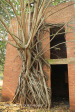 Canelands  Hazlemere Farm Kranz Road outbuildings (3)
