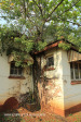 Canelands  Hazlemere Farm Kranz Road outbuildings (7)