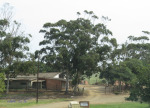 Verulam - Irrigation Outer Estates - residences - off Jabu Ngcobo Road - 29.39.637 S 31.04.695 E (3)