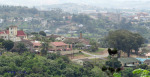 Verulam - Lotus Road views (3)