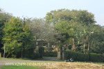 Verulam Residence Robert Armstrong Road