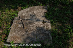 Verulam Cemetery grave  (448) .- unreadable