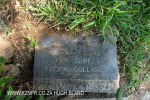 Verulam Cemetery grave Felicie Collard