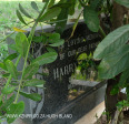 Verulam Cemetery grave Harry ....) (1)