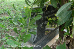 Verulam Cemetery grave Harry ....) (2)