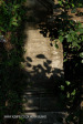 Verulam Cemetery grave  Horning