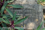 Verulam Cemetery grave Robert Laki