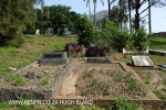 Verulam Cemetery grave  Undetermined)