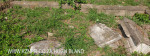 Verulam Cemetery grave  broken grave