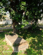 Verulam Cemetery grave  name not visible