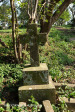 Verulam Cemetery grave  unknown (2)