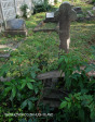 Verulam Cemetery grave views   )