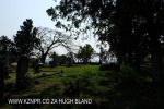 Verulam Cemetery grave views (2)