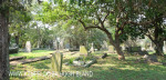 Verulam Cemetery grave views (3)