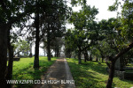 Verulam Cemetery grave views (4)