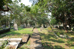 Verulam Cemetery grave views (5)