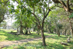 Verulam Cemetery grave views (7)