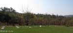 Oakford Priory - Graveyard & Memorials - Graveyards Plaques (1)