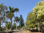 Oakford Priory - Residences (3)