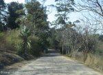 Oakford Priory - Top Entrance Gates (2)