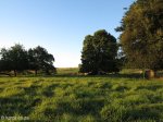 petras-farm-guesthouse-outside-vryheid-6