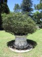vryheid-hoerskool-republik-kerk-garden-s-27-46-11-e-30-47-6