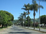 vryheid-oos-straat-palm-trees-entrance-s-27-46-18-e-30-48-02-elev-1162m-1