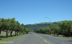 vryheid-oos-straat-palm-trees-entrance-s-27-46-18-e-30-48-02-elev-1162m-2