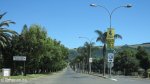 vryheid-oos-straat-palm-trees-entrance-s-27-46-18-e-30-48-02-elev-1162m-3