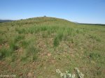 nkambule-approach-from-north-east-road-2