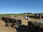 nkambule-graves-with-battleground-in-background-3
