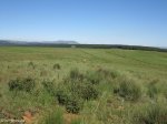 nkambule-views-from-square-towards-hlobane-1