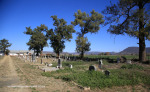 WEENEN-Cemetery-grave-views-206