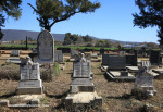 WEENEN-Cemetery-graves-Barkhuizen-Torlage-211