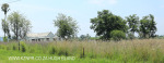 Weenen farmhouse Arnold Pretorius Street R74 (5)