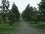 Mooi-River-Weston-Agricultural-College-S-29.12.46-E-30.02.07-10