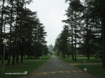 Mooi-River-Weston-Agricultural-College-driveway-2