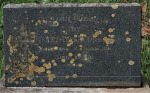 Westville-Cemetery-grave-Violet-Dickens-1951-123