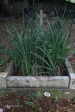 Westville-Cemetery-grave-number-43-73