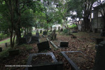 Westville-Cemetery-view-104