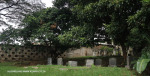 Westville-Cemetery-views-128