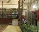york-cash-store-s-29-20-38-e-30-27-58-elev-784m-1