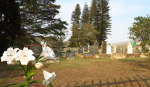 Bethany Farm Family Cemetery - Grave - Cemetery overview (5)
